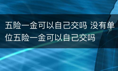 五险一金可以自己交吗 没有单位五险一金可以自己交吗