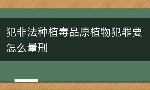 犯非法种植毒品原植物犯罪要怎么量刑