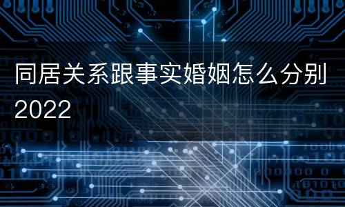 同居关系跟事实婚姻怎么分别2022