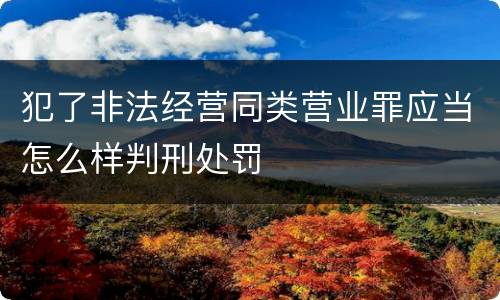 犯了非法经营同类营业罪应当怎么样判刑处罚