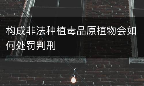 构成非法种植毒品原植物会如何处罚判刑