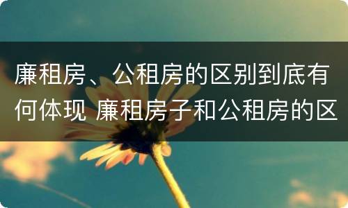 廉租房、公租房的区别到底有何体现 廉租房子和公租房的区别
