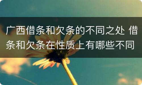 广西借条和欠条的不同之处 借条和欠条在性质上有哪些不同