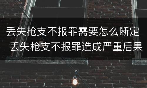 丢失枪支不报罪需要怎么断定 丢失枪支不报罪造成严重后果