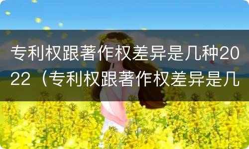 专利权跟著作权差异是几种2022（专利权跟著作权差异是几种2022年的）