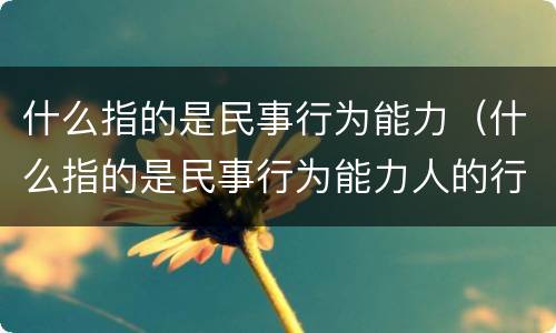 什么指的是民事行为能力（什么指的是民事行为能力人的行为）
