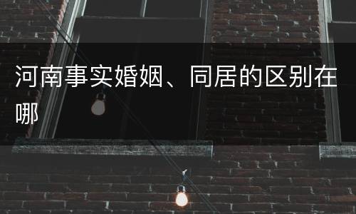 河南事实婚姻、同居的区别在哪