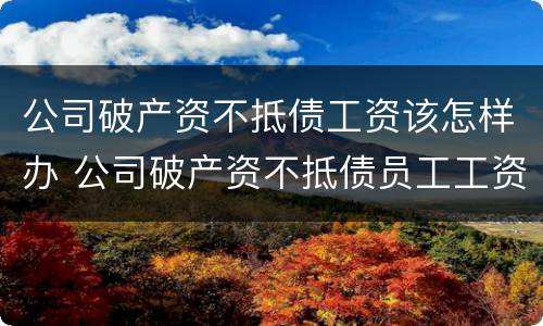 公司破产资不抵债工资该怎样办 公司破产资不抵债员工工资怎么办
