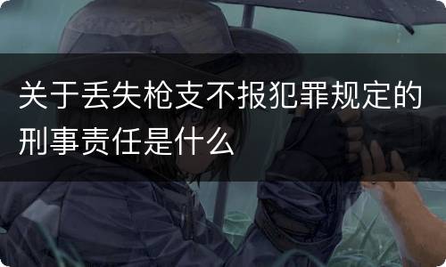 关于丢失枪支不报犯罪规定的刑事责任是什么