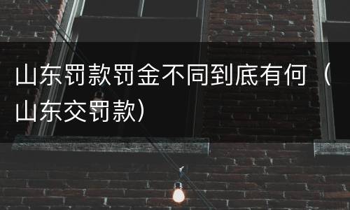山东罚款罚金不同到底有何（山东交罚款）