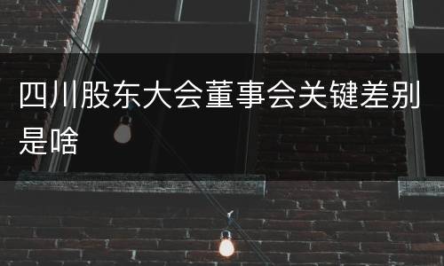 四川股东大会董事会关键差别是啥