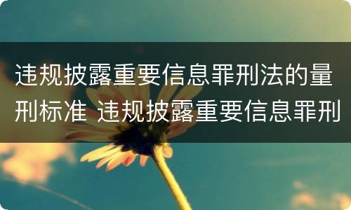 违规披露重要信息罪刑法的量刑标准 违规披露重要信息罪刑法的量刑标准是什么