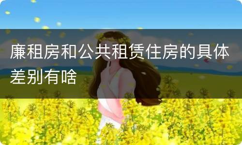 廉租房和公共租赁住房的具体差别有啥