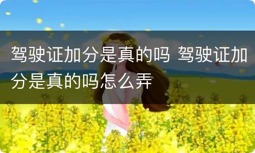 驾驶证加分是真的吗 驾驶证加分是真的吗怎么弄