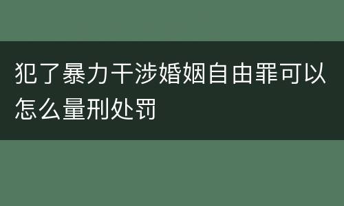 犯了暴力干涉婚姻自由罪可以怎么量刑处罚