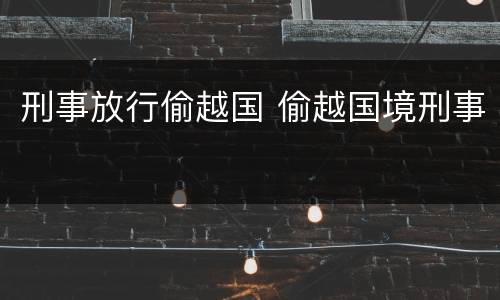 刑事放行偷越国 偷越国境刑事