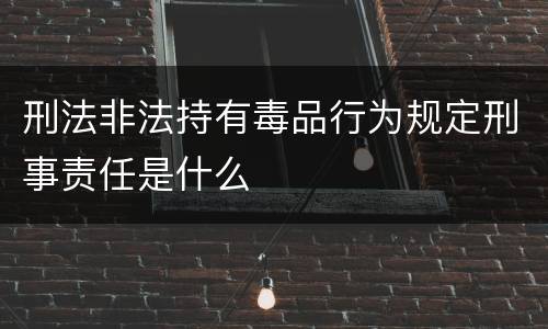 刑法非法持有毒品行为规定刑事责任是什么