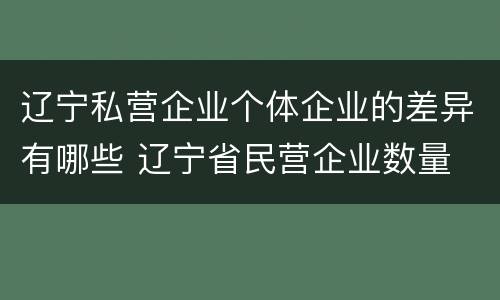 辽宁私营企业个体企业的差异有哪些 辽宁省民营企业数量