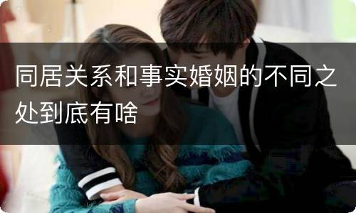 同居关系和事实婚姻的不同之处到底有啥