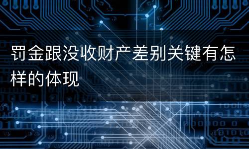 罚金跟没收财产差别关键有怎样的体现