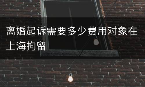 离婚起诉需要多少费用对象在上海拘留