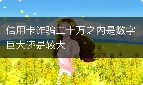 信用卡诈骗二十万之内是数字巨大还是较大