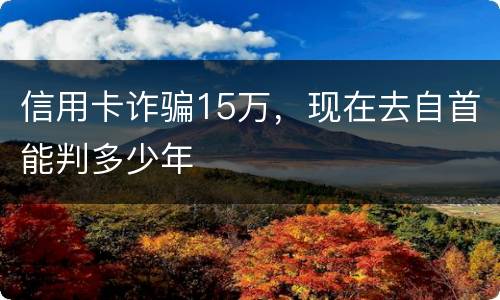 信用卡诈骗15万，现在去自首能判多少年