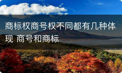 商标权商号权不同都有几种体现 商号和商标