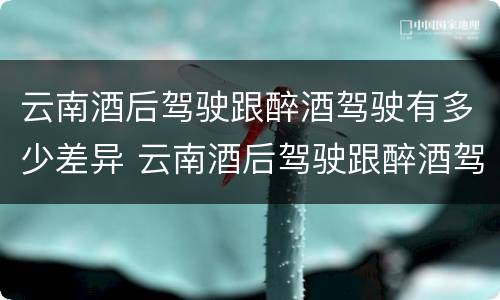 云南酒后驾驶跟醉酒驾驶有多少差异 云南酒后驾驶跟醉酒驾驶有多少差异呢