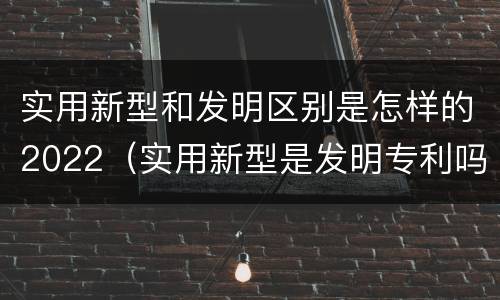实用新型和发明区别是怎样的2022（实用新型是发明专利吗）