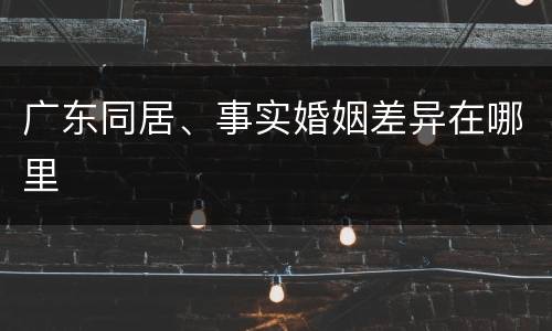 广东同居、事实婚姻差异在哪里