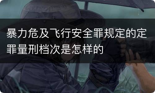 暴力危及飞行安全罪规定的定罪量刑档次是怎样的