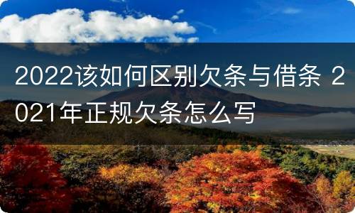 2022该如何区别欠条与借条 2021年正规欠条怎么写