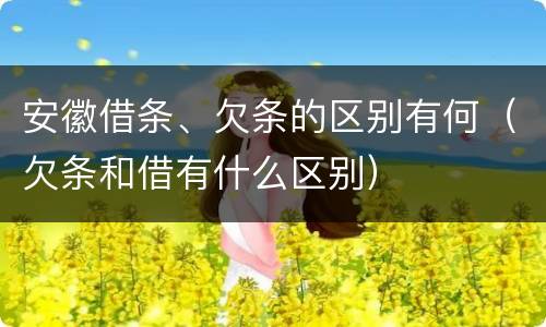 安徽借条、欠条的区别有何（欠条和借有什么区别）