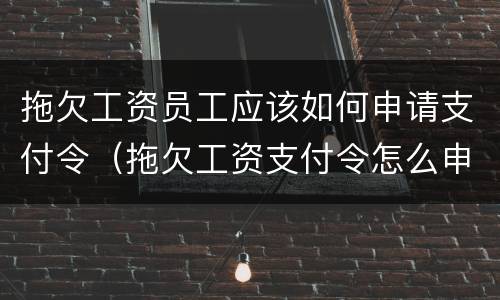 拖欠工资员工应该如何申请支付令（拖欠工资支付令怎么申请）