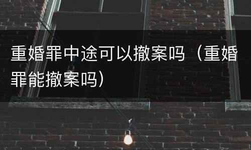 重婚罪中途可以撤案吗（重婚罪能撤案吗）