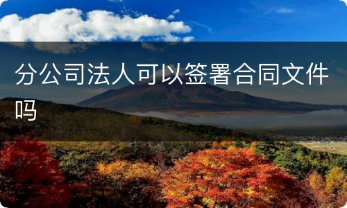 分公司法人可以签署合同文件吗
