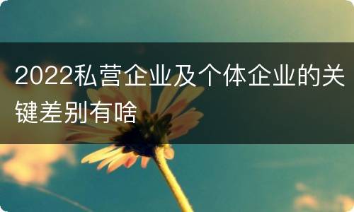 2022私营企业及个体企业的关键差别有啥