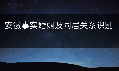 安徽事实婚姻及同居关系识别