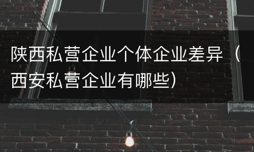 陕西私营企业个体企业差异（西安私营企业有哪些）