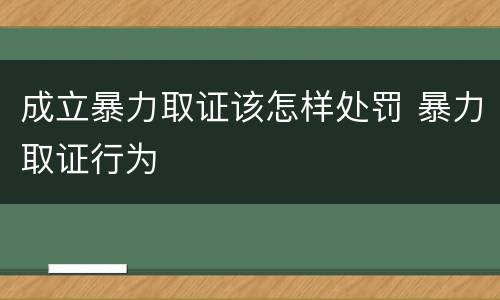 成立暴力取证该怎样处罚 暴力取证行为