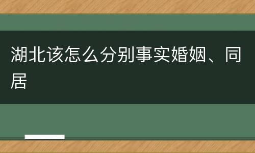 湖北该怎么分别事实婚姻、同居