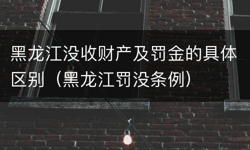 黑龙江没收财产及罚金的具体区别（黑龙江罚没条例）