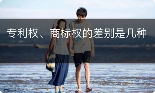 专利权、商标权的差别是几种