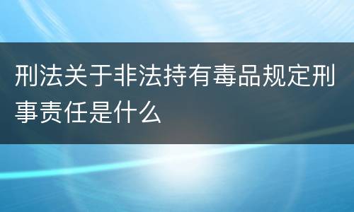 刑法关于非法持有毒品规定刑事责任是什么
