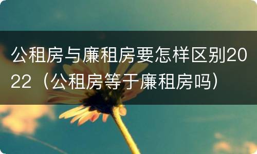 公租房与廉租房要怎样区别2022（公租房等于廉租房吗）