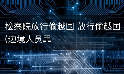 检察院放行偷越国 放行偷越国(边境人员罪