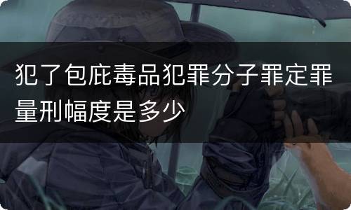 犯了包庇毒品犯罪分子罪定罪量刑幅度是多少