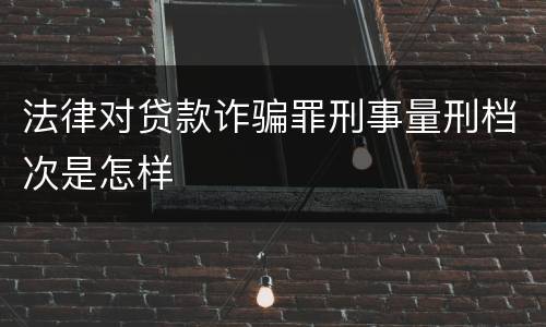 法律对贷款诈骗罪刑事量刑档次是怎样