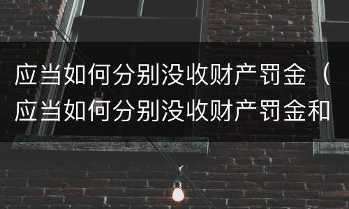 应当如何分别没收财产罚金（应当如何分别没收财产罚金和罚款）